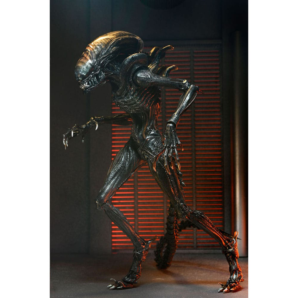 NECA Alien Romulus Ultimate Scorched Xenomorph 23 cm Action Figure – Alien, NECA, 23 cm, 2024, brand new collector item, Uncanny Collectibles Dublin Ireland