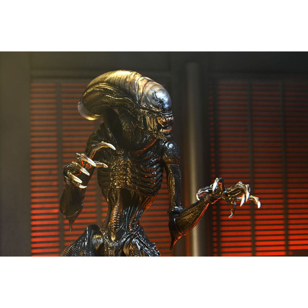 NECA Alien Romulus Ultimate Scorched Xenomorph 23 cm Action Figure – Alien, NECA, 23 cm, 2024, brand new collector item, Uncanny Collectibles Dublin Ireland