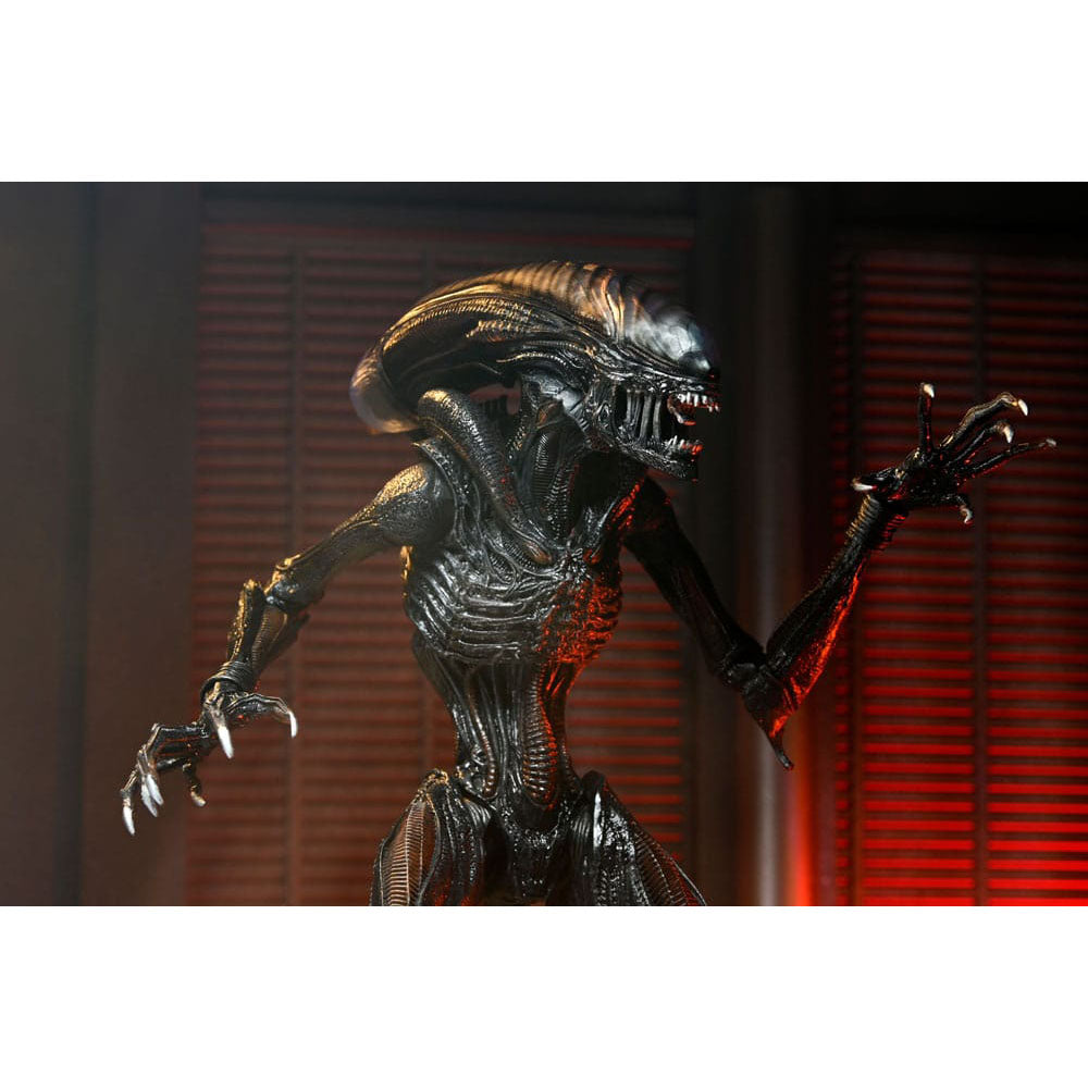 NECA Alien Romulus Ultimate Scorched Xenomorph 23 cm Action Figure – Alien, NECA, 23 cm, 2024, brand new collector item, Uncanny Collectibles Dublin Ireland