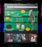 Alien Mezco Toyz One:12 Collective Action Figure – Alien, Mezco Toyz, 18 cm, 2022, pre-owned collector piece, Uncanny Collectibles Dublin Ireland