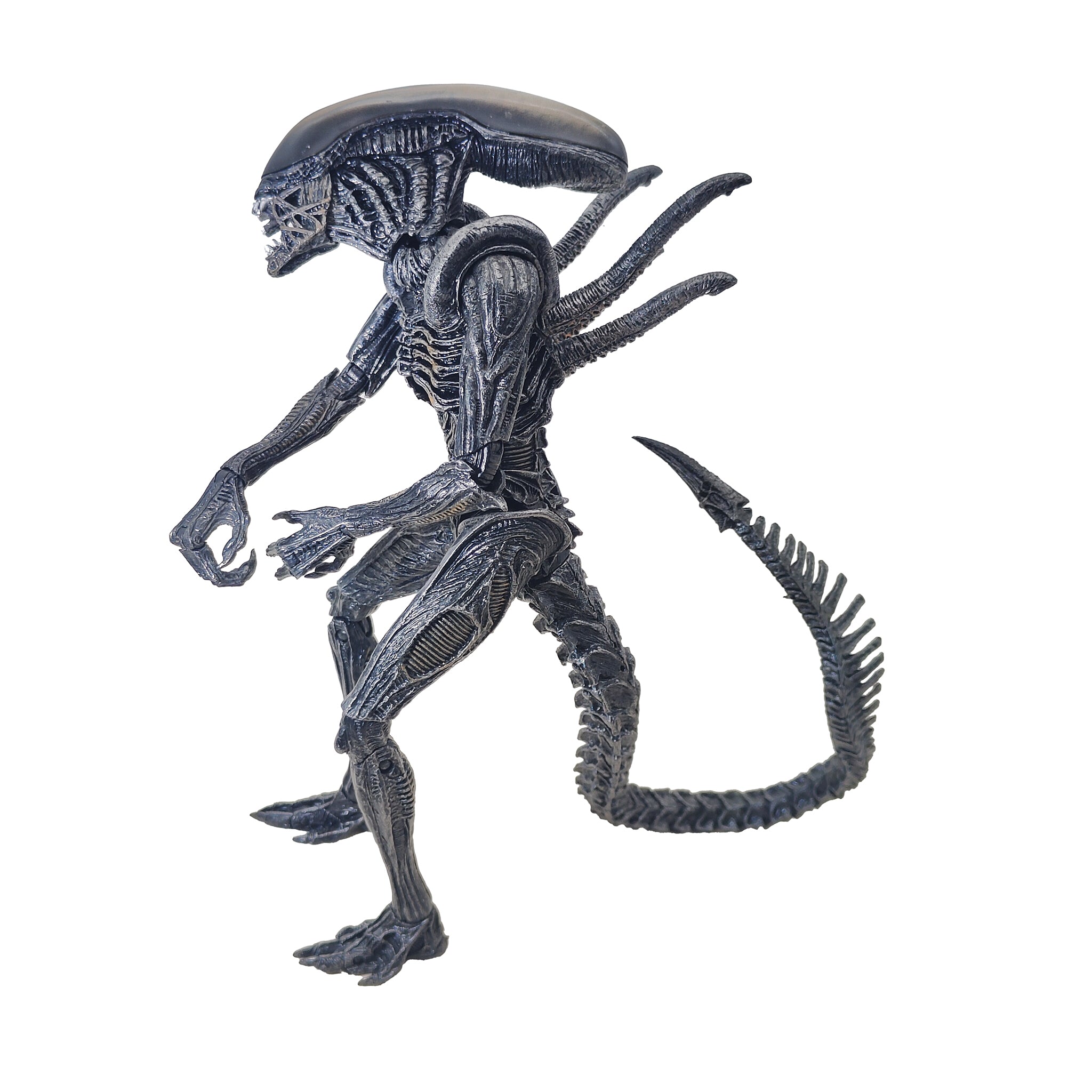 Alien vs Predator Alien Warrior NECA Action Figure 2016