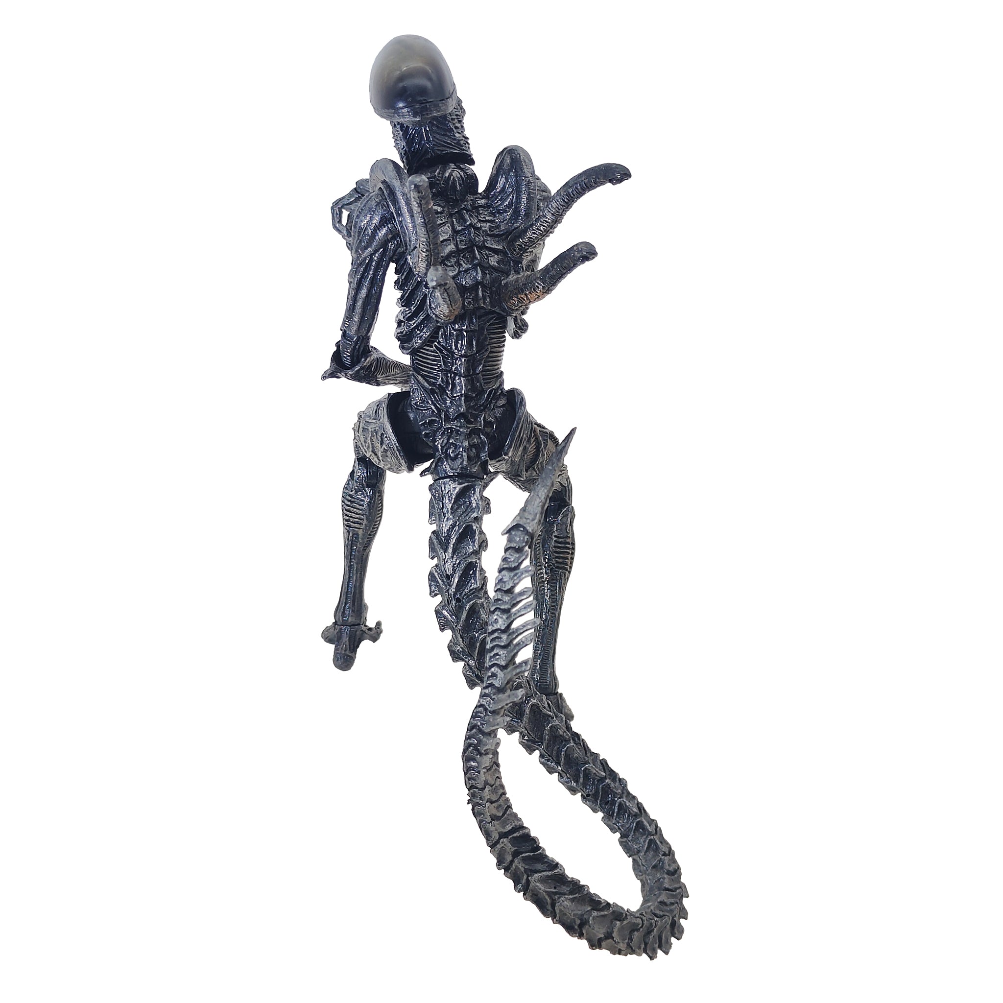 Alien vs Predator Alien Warrior NECA Action Figure 2016