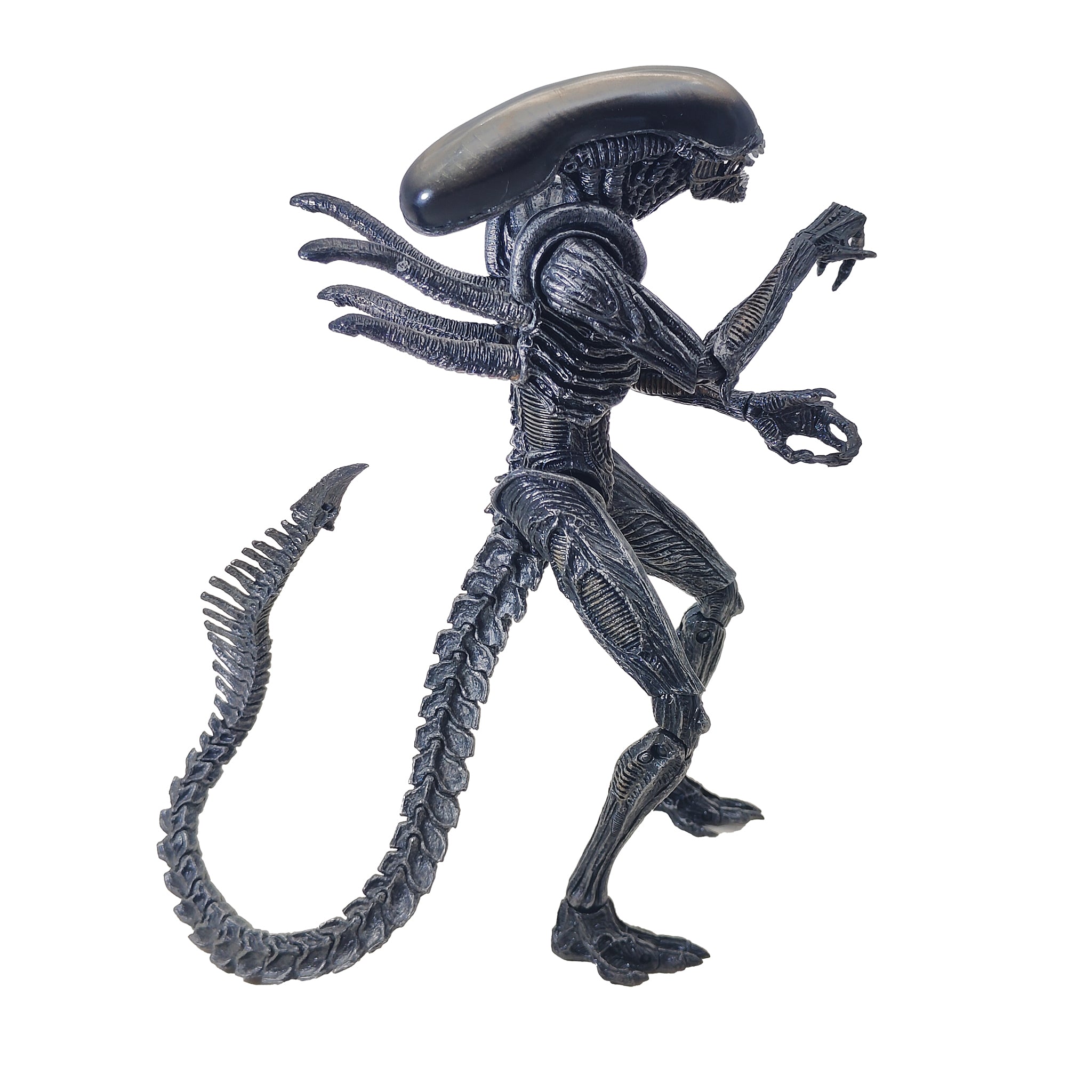 Alien vs Predator Alien Warrior NECA Action Figure 2016 – Uncanny
