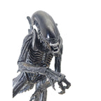 Alien vs Predator Alien Warrior NECA Action Figure 2016