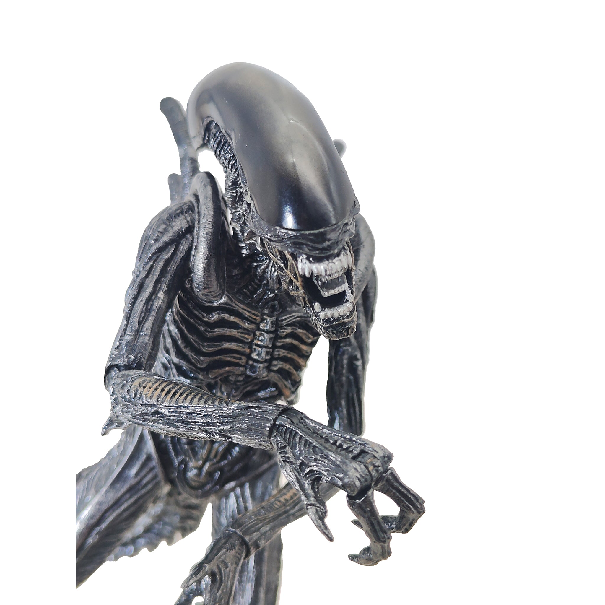 Alien vs Predator Alien Warrior NECA Action Figure 2016