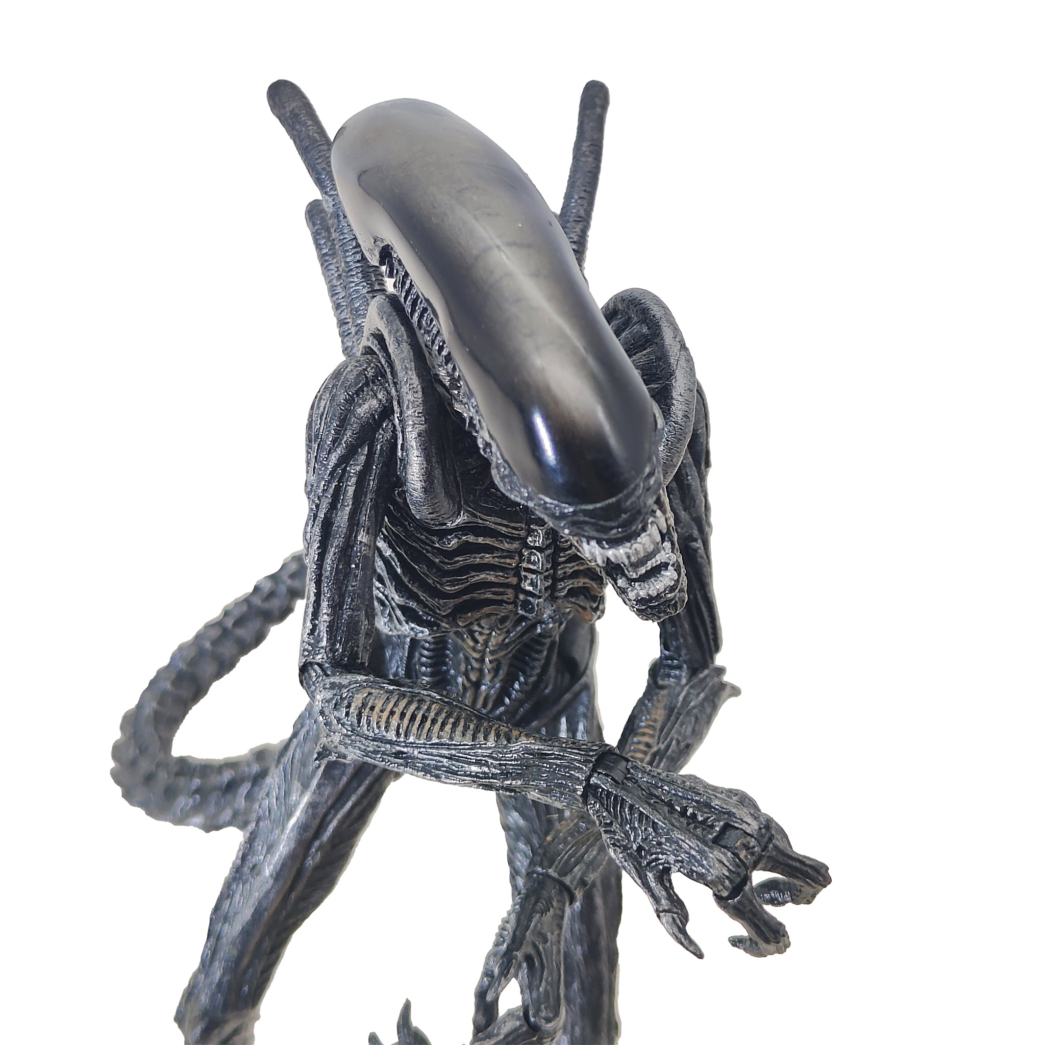 Alien vs Predator Alien Warrior NECA Action Figure 2016