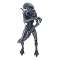 Alien vs Predator Alien Warrior NECA Action Figure 2016