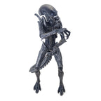 Alien vs Predator Alien Warrior NECA Action Figure 2016