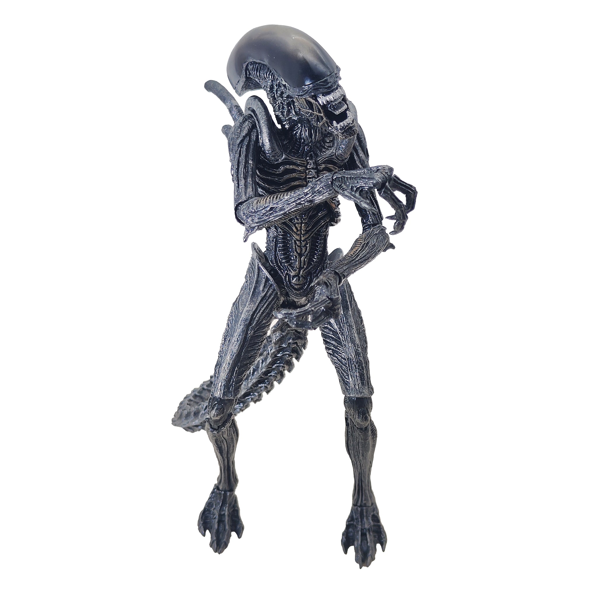 Alien vs Predator Alien Warrior NECA Action Figure 2016