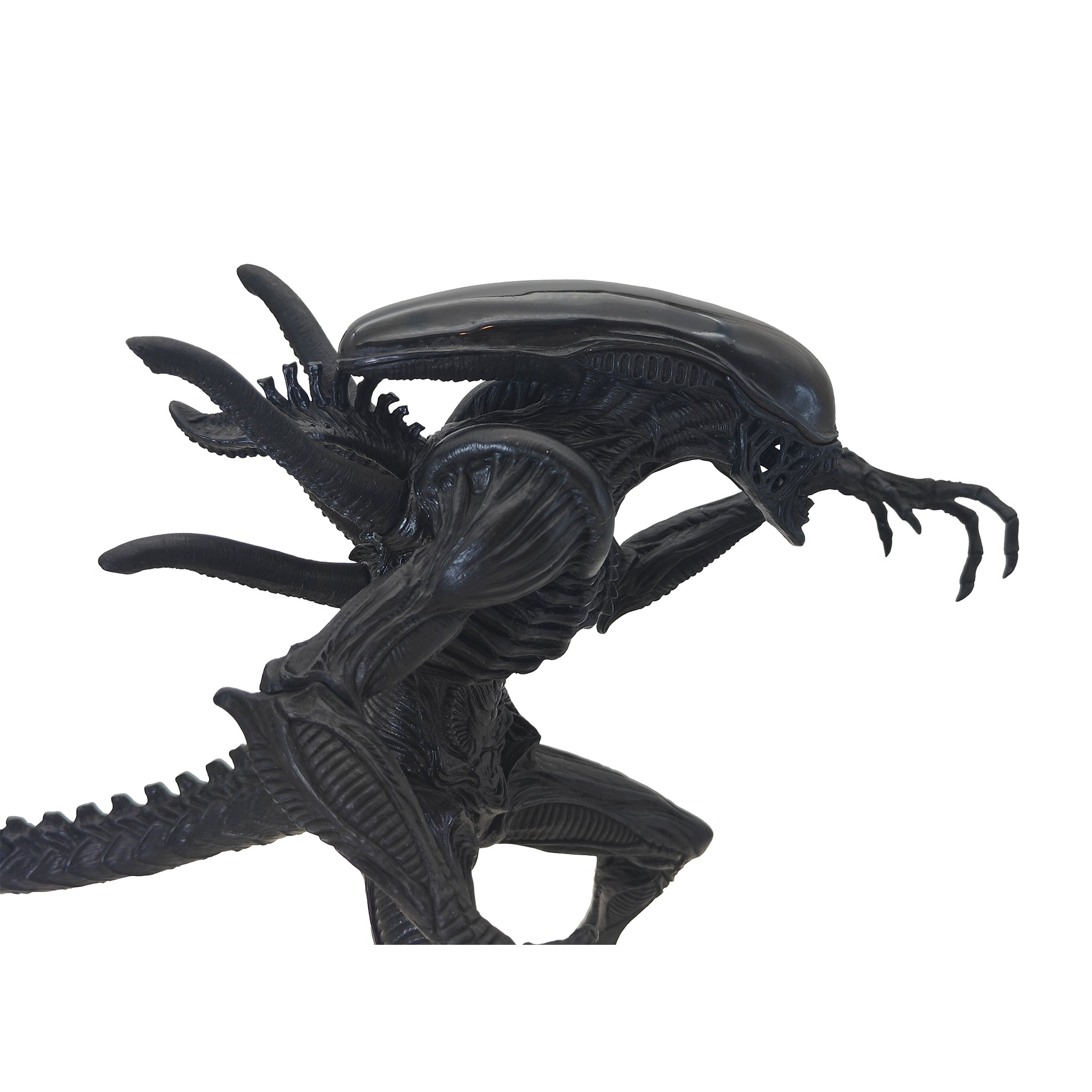 Alien vs Predator Black Alien Premium Furyu Corporation Action Figure 2008 21.5cm – Alien, Vintage Brands, 21 cm, 2008, pre-owned collector piece, Uncanny Collectibles Dublin Ireland