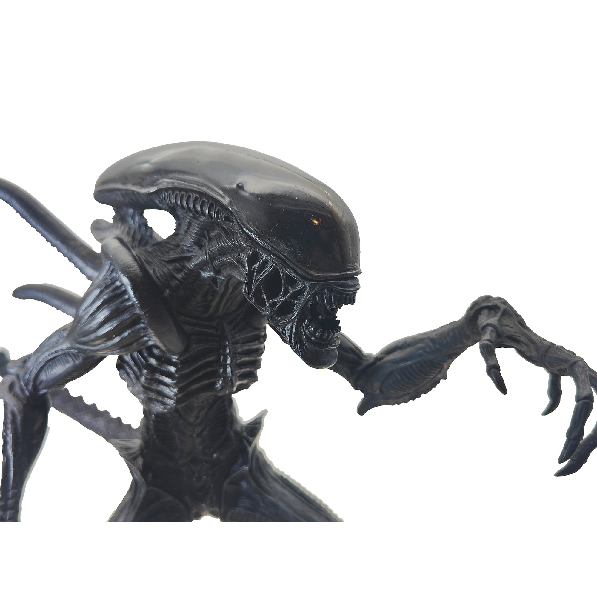 Alien vs Predator Black Alien Premium Furyu Corporation Action Figure 2008 21.5cm