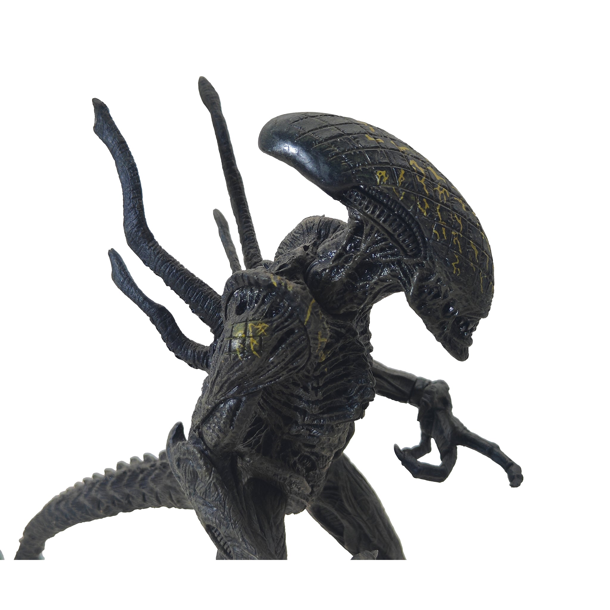 Alien vs Predator Grid Alien McFarlane Toys Action Figure 2004 21.5cm – Alien, McFarlane Toys, 21 cm, 2004, pre-owned collector piece, Uncanny Collectibles Dublin Ireland