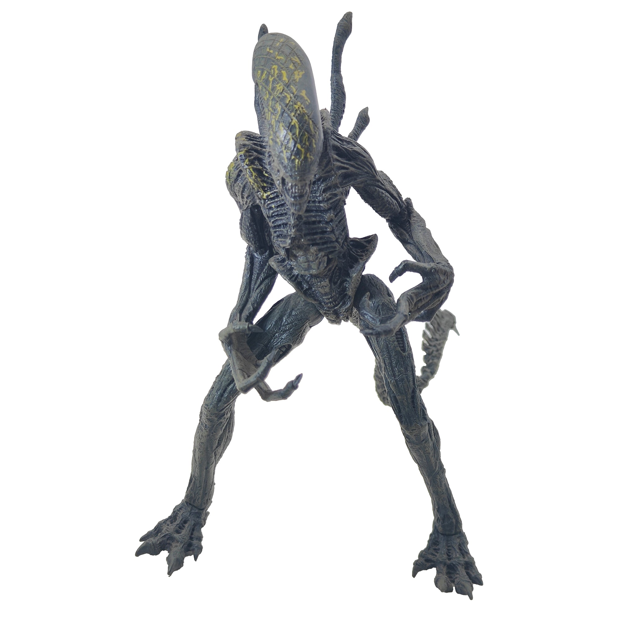 Alien vs Predator Grid Alien McFarlane Toys Action Figure 2004 21.5cm – Alien, McFarlane Toys, 21 cm, 2004, pre-owned collector piece, Uncanny Collectibles Dublin Ireland