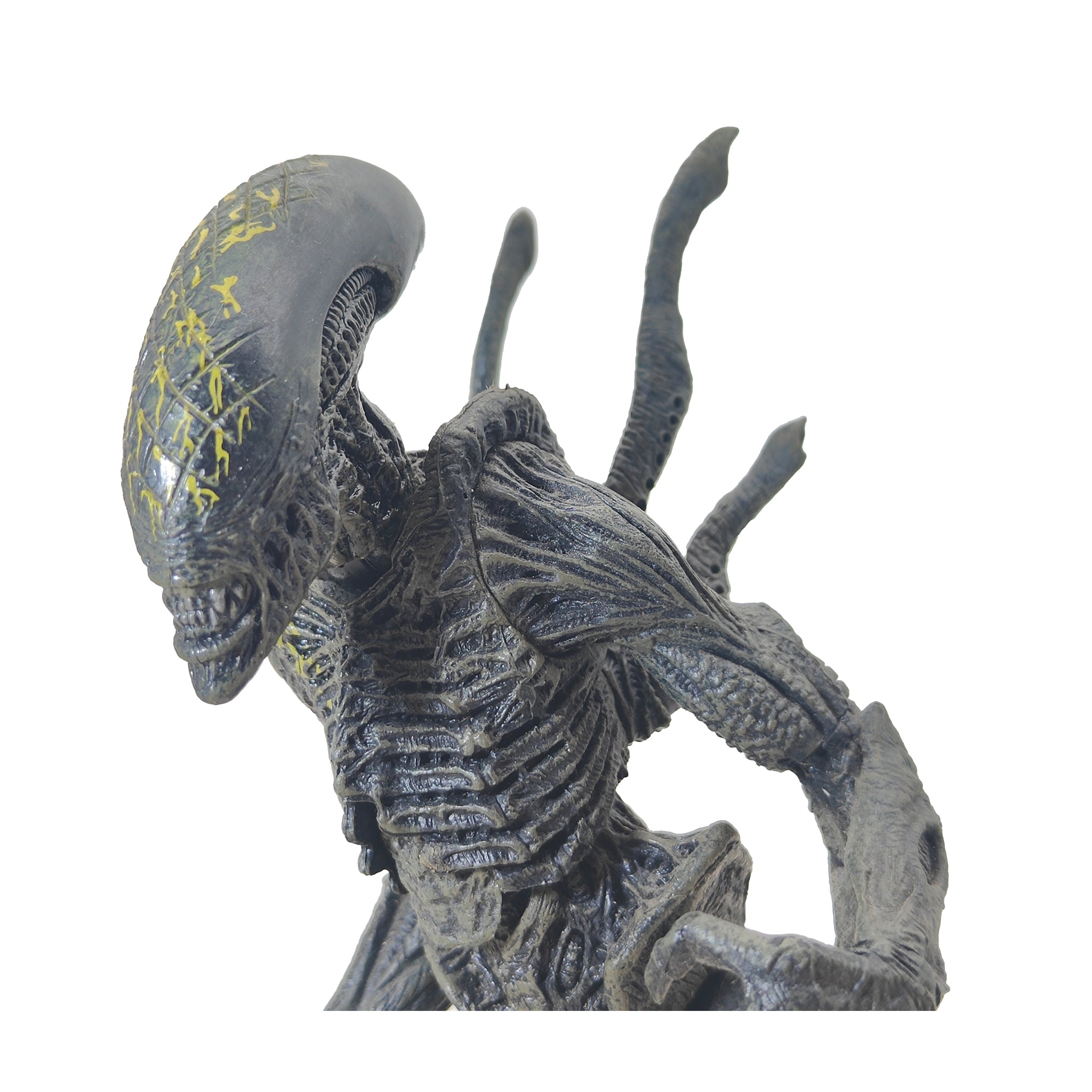 Alien vs Predator Grid Alien McFarlane Toys Action Figure 2004 21.5cm – Alien, McFarlane Toys, 21 cm, 2004, pre-owned collector piece, Uncanny Collectibles Dublin Ireland