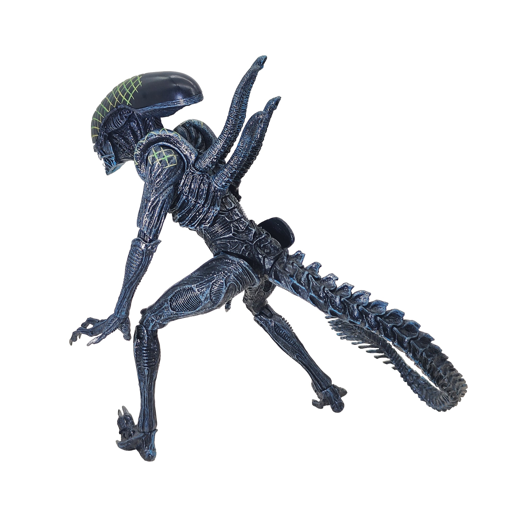 Alien vs Predator Grid Alien Xenomorph NECA Series 7 Action Figure 2016