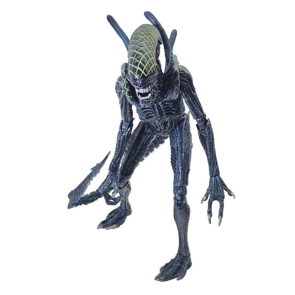 Alien vs Predator Grid Alien Xenomorph NECA Series 7 Action Figure 2016