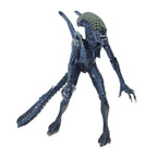 Alien vs Predator Grid Alien Xenomorph NECA Series 7 Action Figure 2016