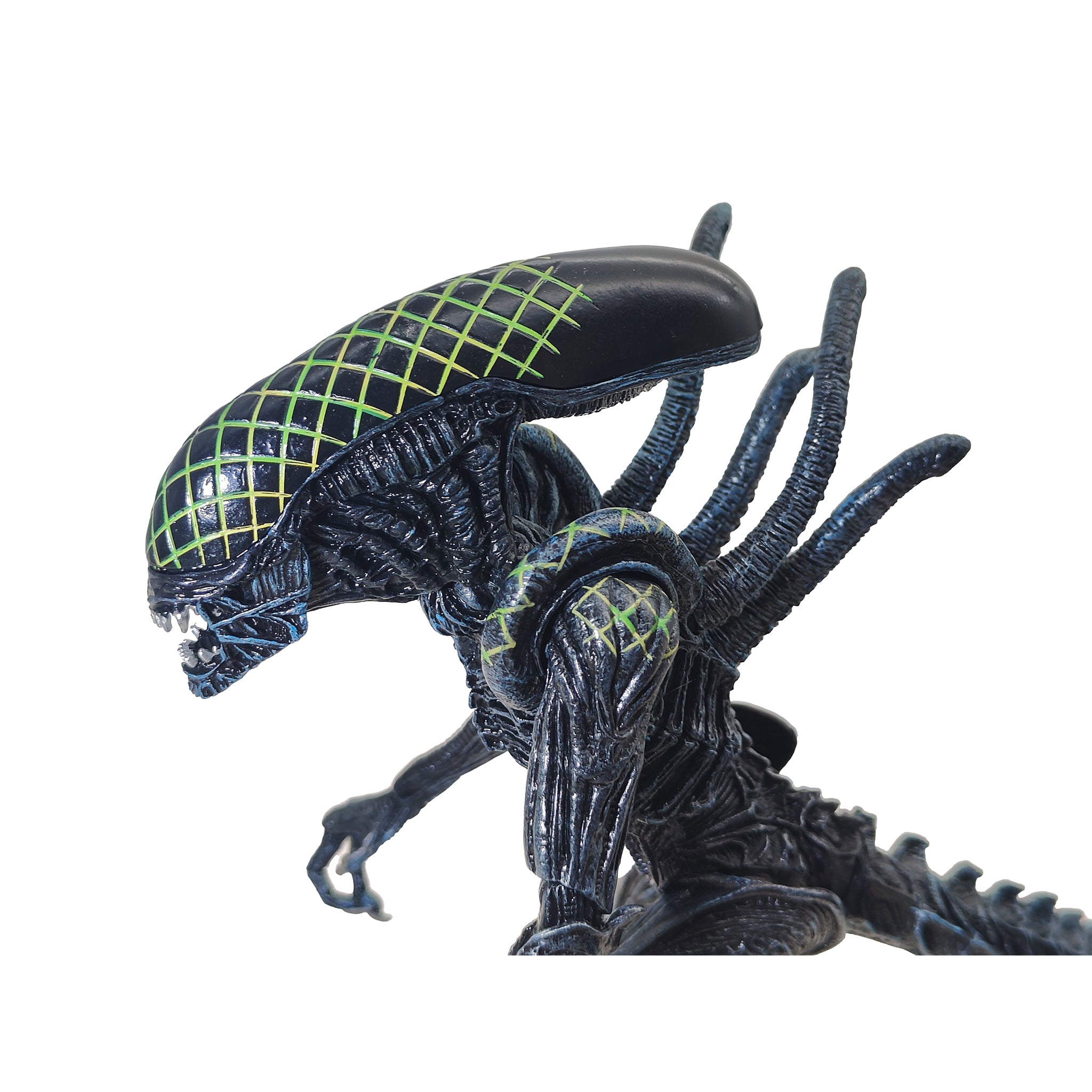 Alien vs Predator Grid Alien Xenomorph NECA Series 7 Action Figure 2016