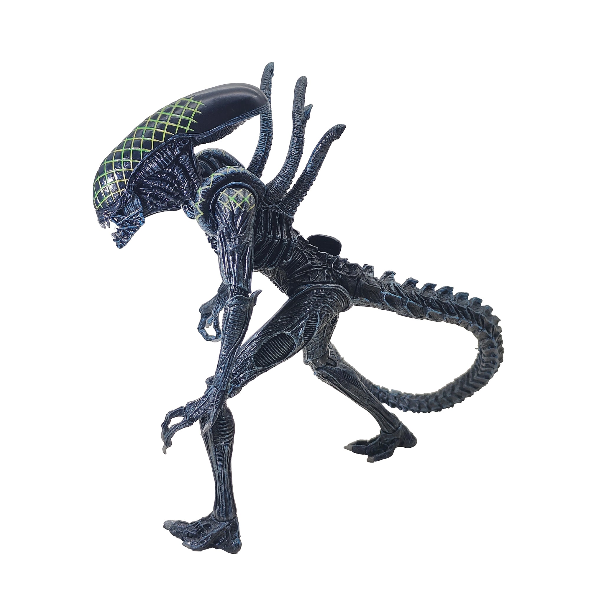 Alien vs Predator Grid Alien Xenomorph NECA Series 7 Action Figure 2016
