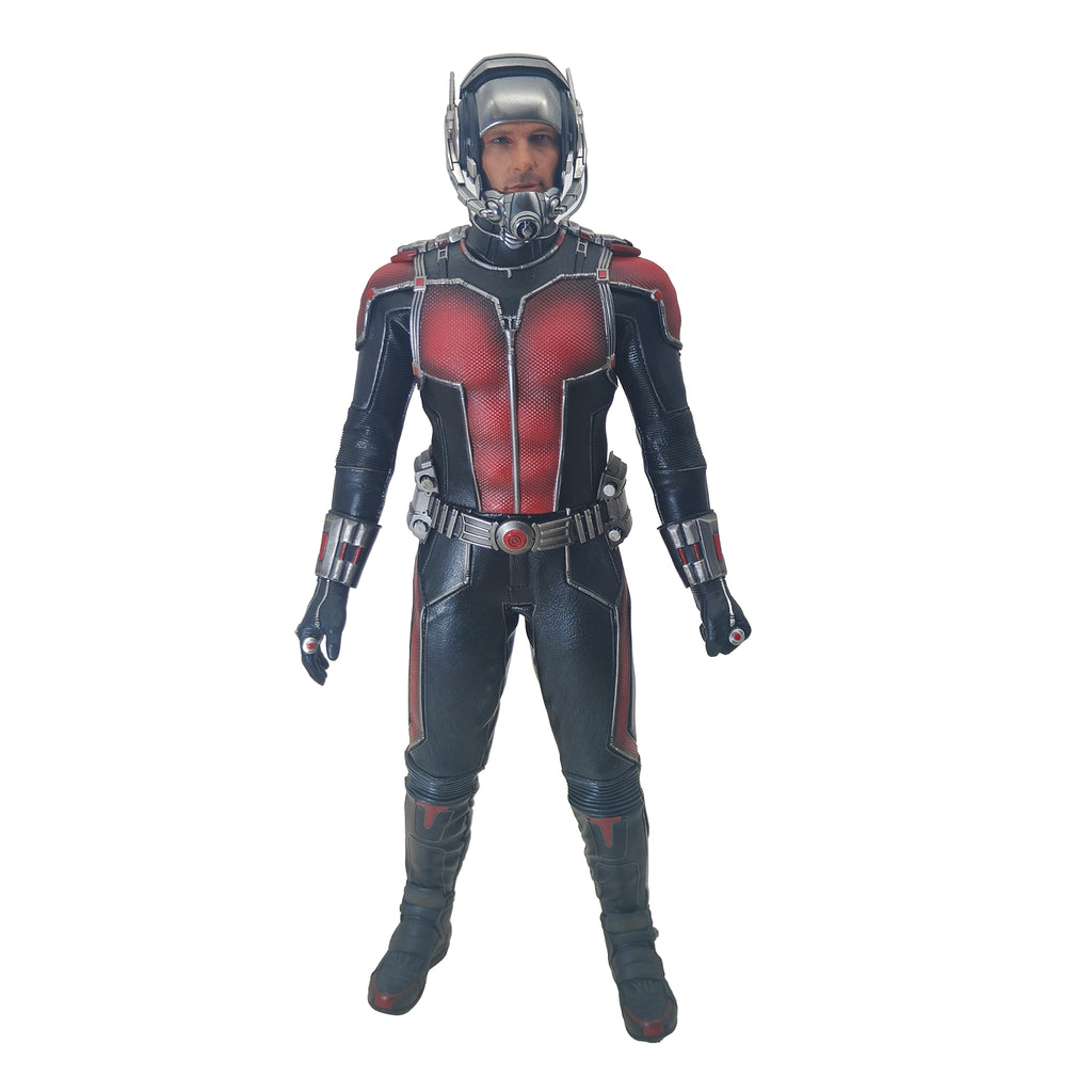 Marvel Ant-Man Scott Lang Hot Toys MMS 308 1/6 Scale Action Figure 2015