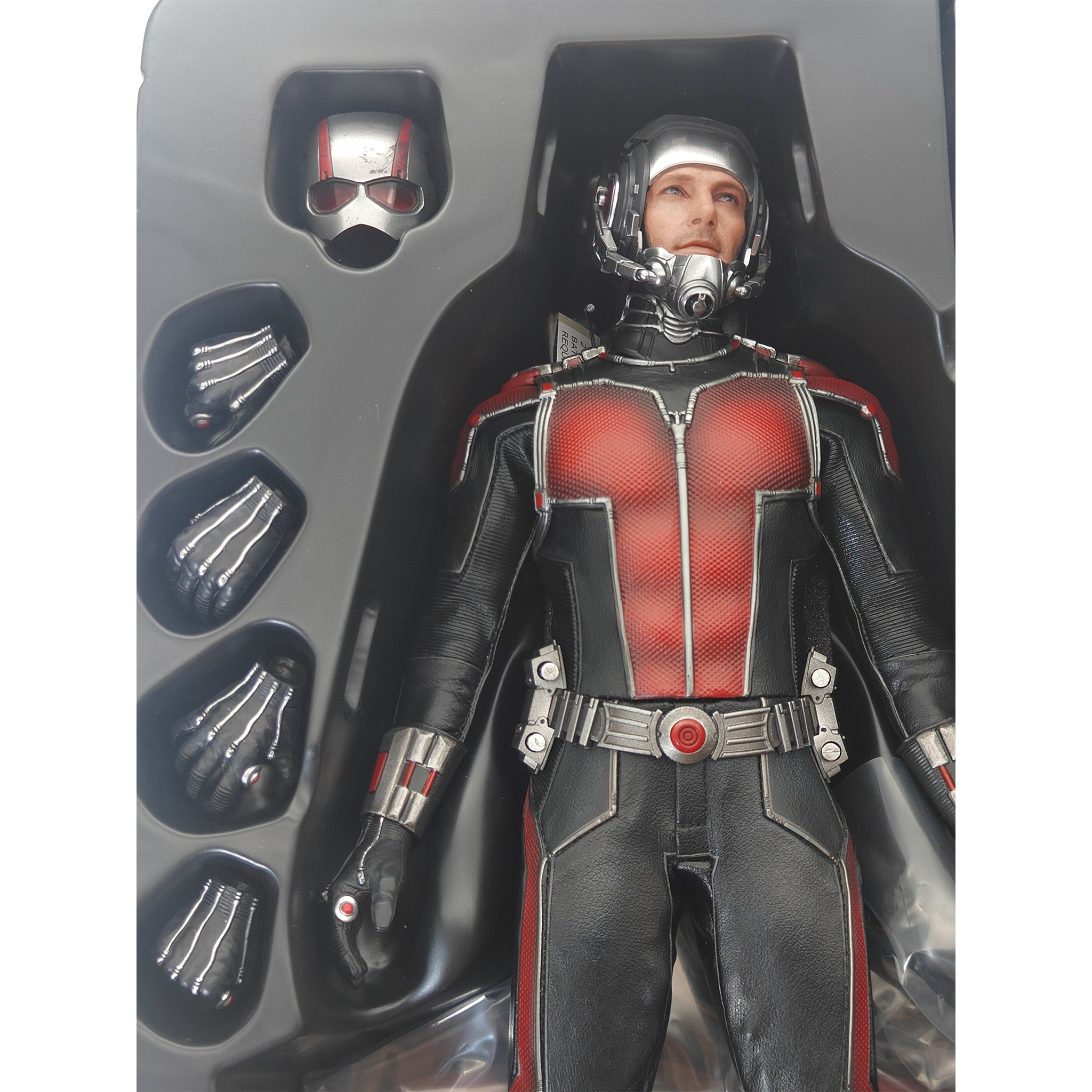Marvel Ant-Man Scott Lang Hot Toys MMS 308 1/6 Scale Action Figure 2015