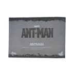 Marvel Ant-Man Scott Lang Hot Toys MMS 308 1/6 Scale Action Figure 2015