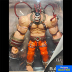 Batman vs Bane Arkham Asylum DC Collectibles Action Figure 2 Pack 2013