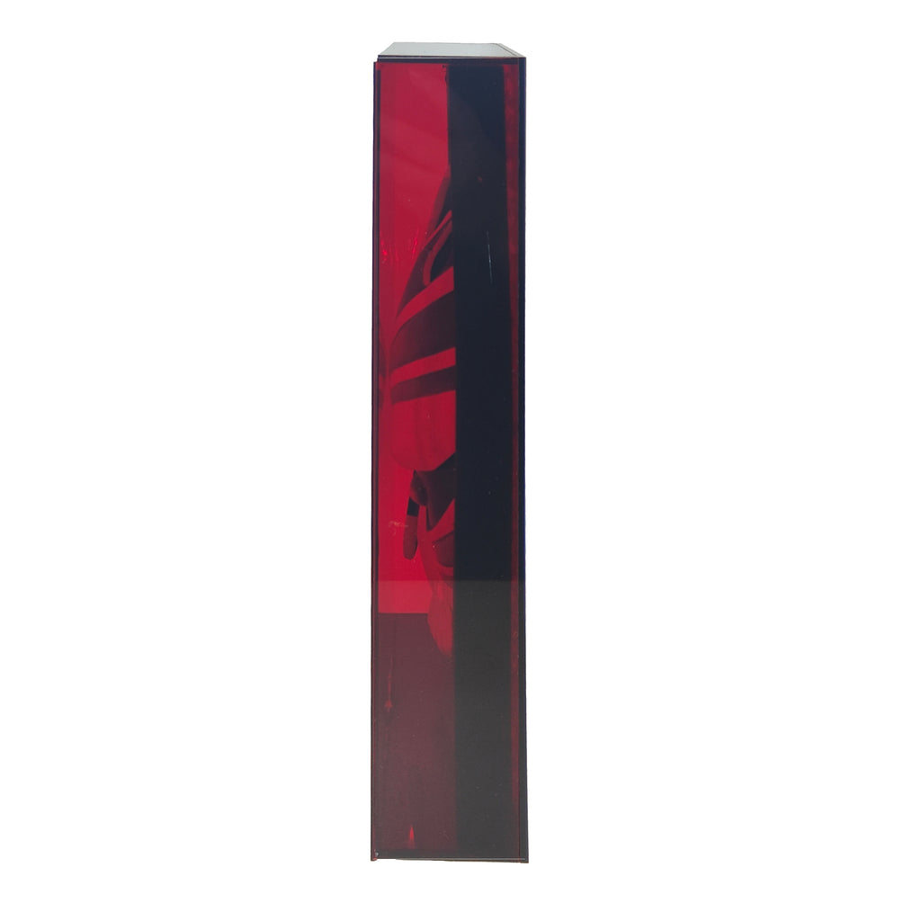 Bleach Ichigo Kurosaki Hollow Mask Prop Replica In Display Case