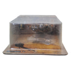 Combatants Fight for Glory Praetorian Guard XesRay Studio 1/12 Action Figure