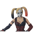 DC Collectibles Batman Arkham City Harley Quinn Series 1 Action Figure
