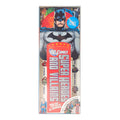 DC Comics Super Heroes and Villains Fandex Guide Workman Publishing 2010