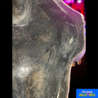 DC Comics The Joker Candy Bowl Holder Rubies 2014