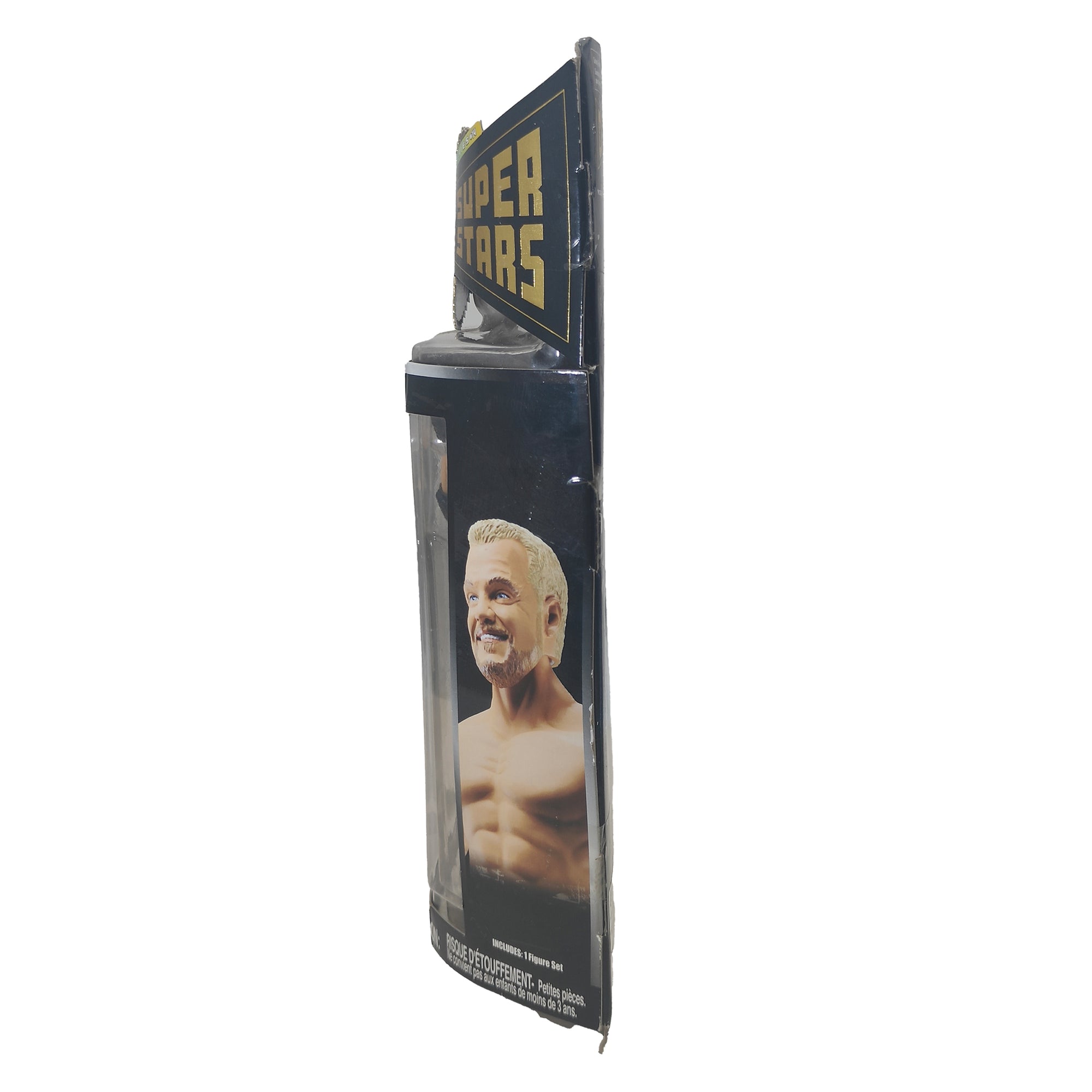 Diamond Dallas Page WWE Classic Superstars Series 14 Jakks Pacific Action Figure 2007 18cm