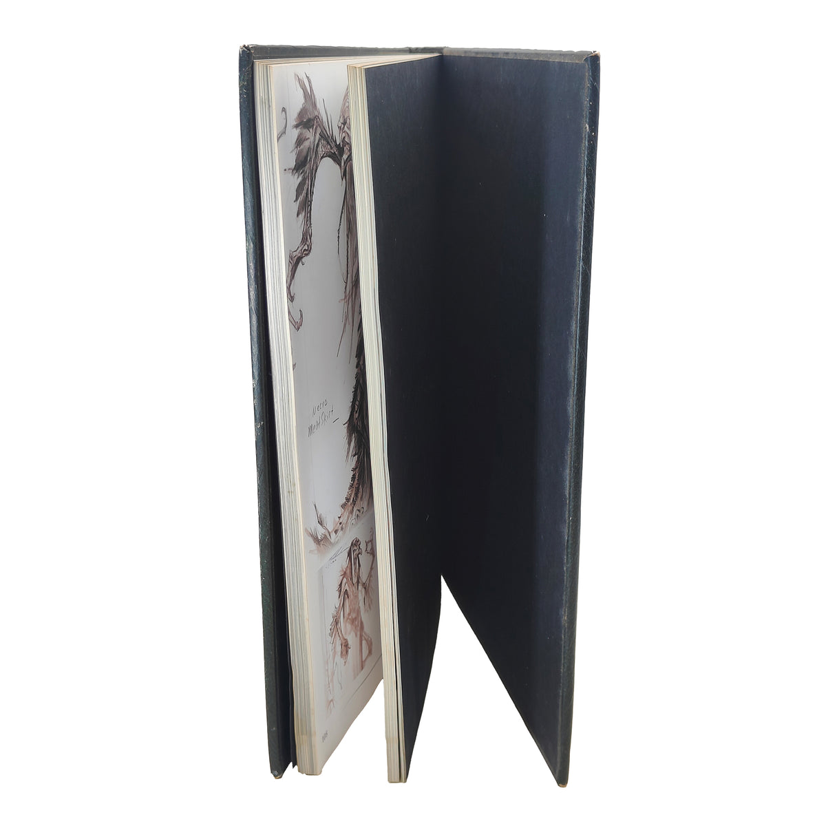 Elder Scrolls V Skyrim The Art of Skyrim Book Collector's Edition Bethesda 2011
