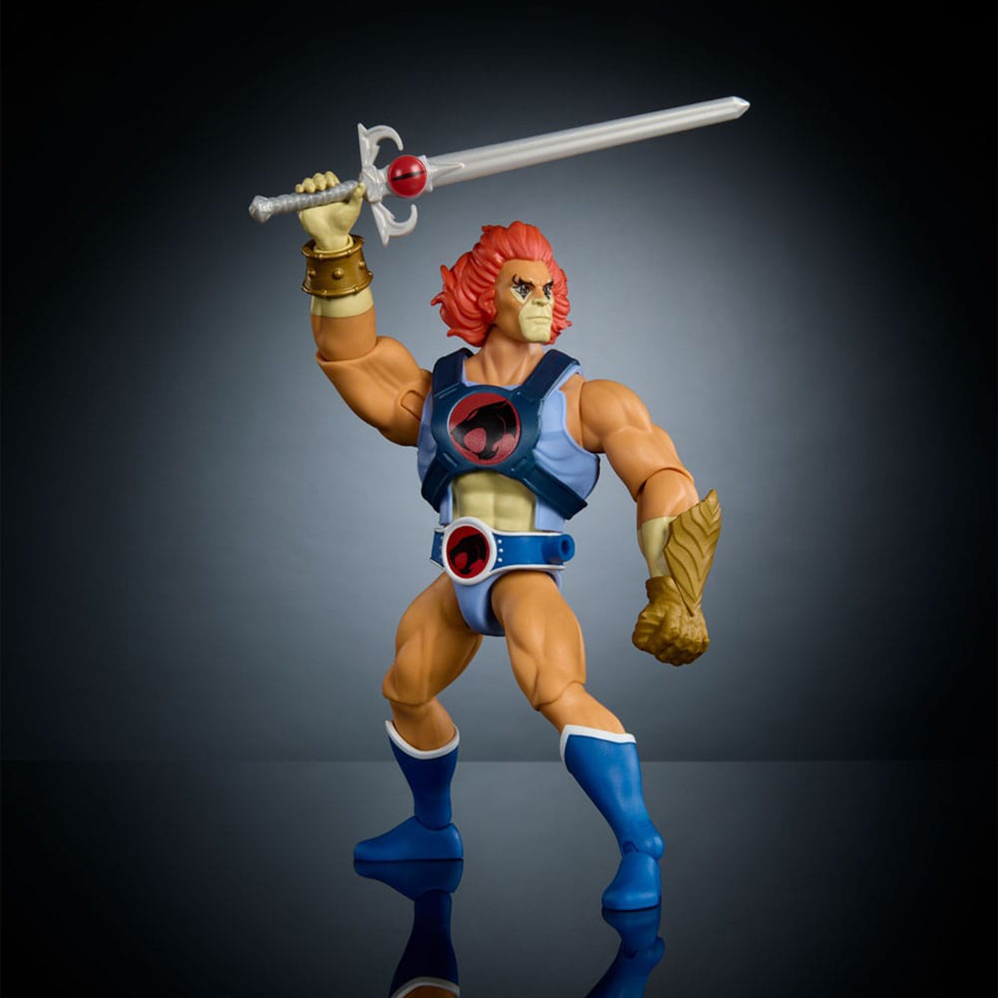 Lion O Masters of the Universe x ThunderCats Mattel Action Figure 14 cm