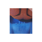 Masters of the Universe Masterverse Beast Man Revelation Mattel Action Figure 2021 18 cm – Masters of the Universe, Mattel, 18 cm, 2021, pre-owned collector piece, Uncanny Collectibles Dublin Ireland