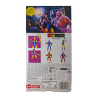 Masters of the Universe Origins Evil-Lyn Cartoon Collection Mattel Action Figure