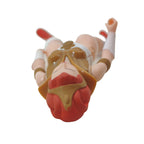 Masters of the Universe Teela Los Amos del Universo Super7 Figure 2019