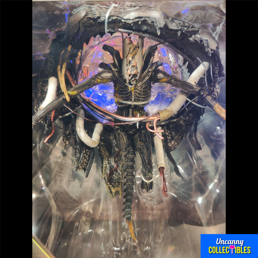 NECA Alien Romulus Deluxe Suspended Lab Xenomorph XX121 Action Figure 2025 18cm – photo 3 of 21