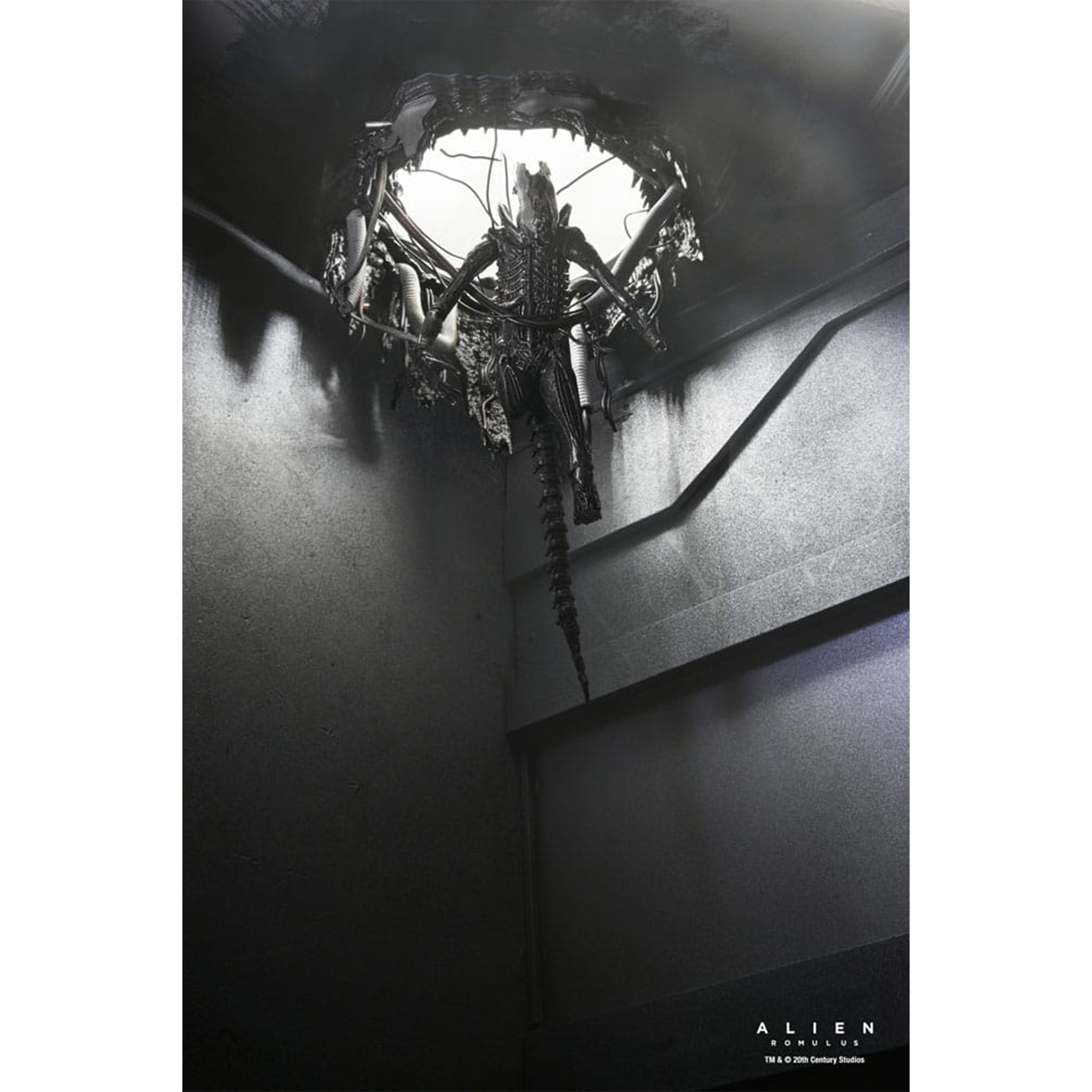 NECA Alien Romulus Deluxe Suspended Lab Xenomorph XX121 Action Figure 2025 18cm – Alien, NECA, 18 cm, 2025, brand new collector item, Uncanny Collectibles Dublin Ireland