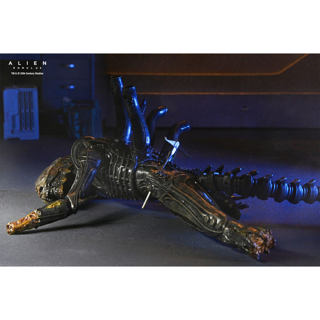 NECA Alien Romulus Deluxe Suspended Lab Xenomorph XX121 Action Figure 2025 18cm – Alien, NECA, 18 cm, 2025, brand new collector item, Uncanny Collectibles Dublin Ireland