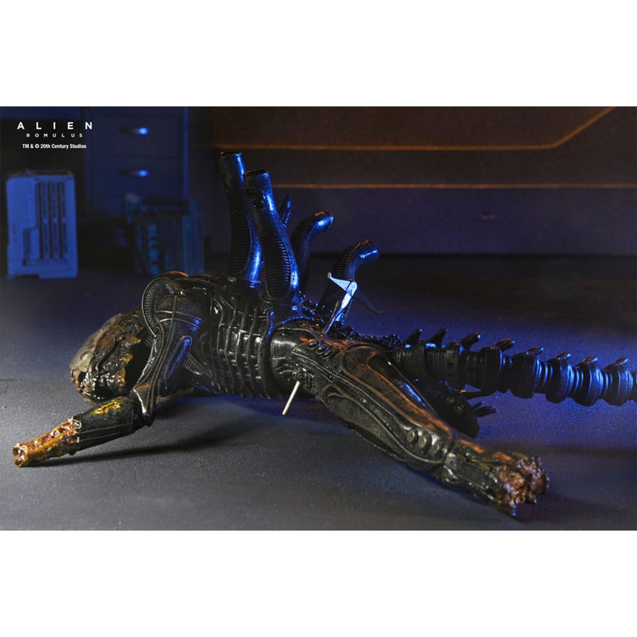 NECA Alien Romulus Deluxe Suspended Lab Xenomorph XX121 Action Figure 2025 18cm – Alien, NECA, 18 cm, 2025, brand new collector item, Uncanny Collectibles Dublin Ireland