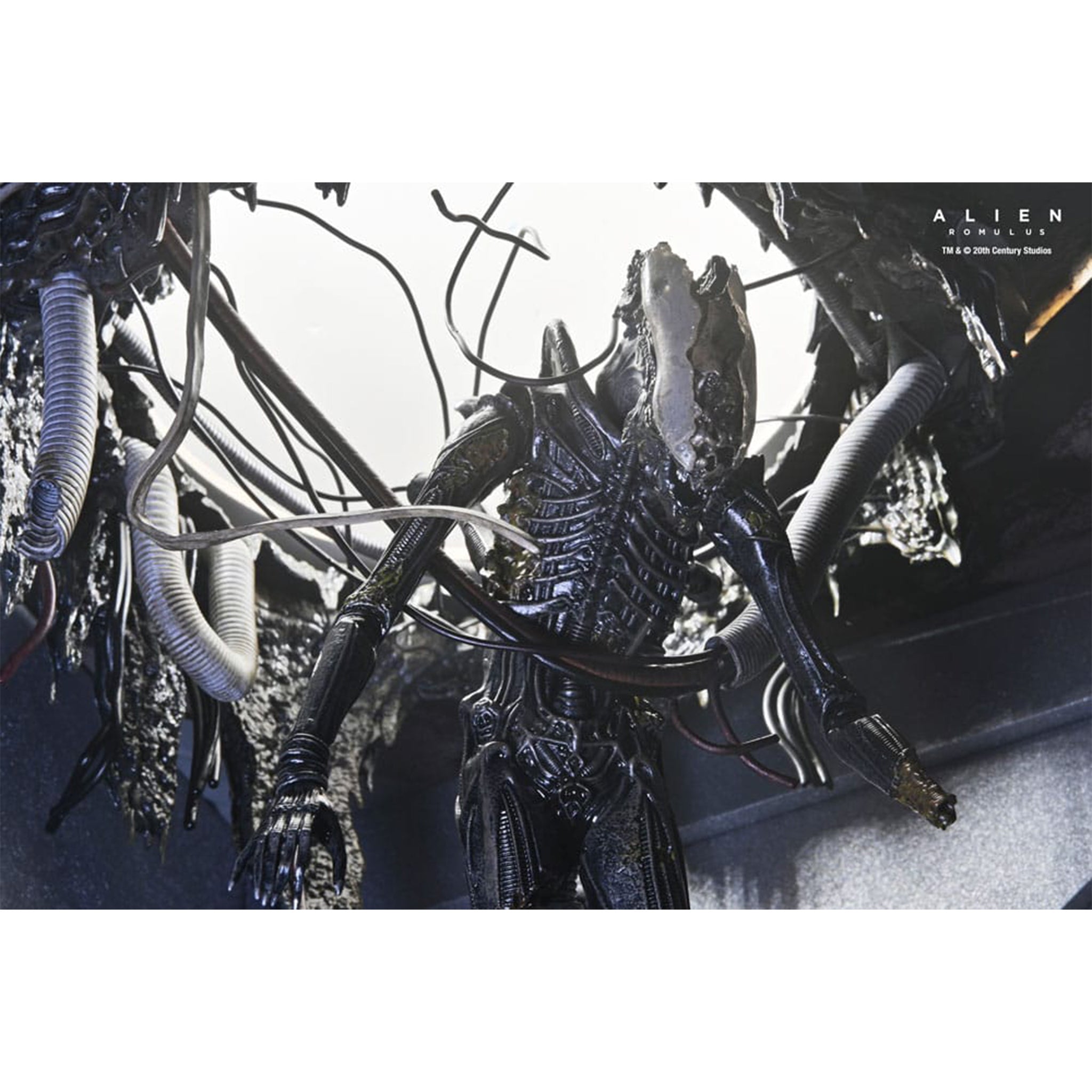 NECA Alien Romulus Deluxe Suspended Lab Xenomorph XX121 Action Figure 2025 18cm – Alien, NECA, 18 cm, 2025, brand new collector item, Uncanny Collectibles Dublin Ireland