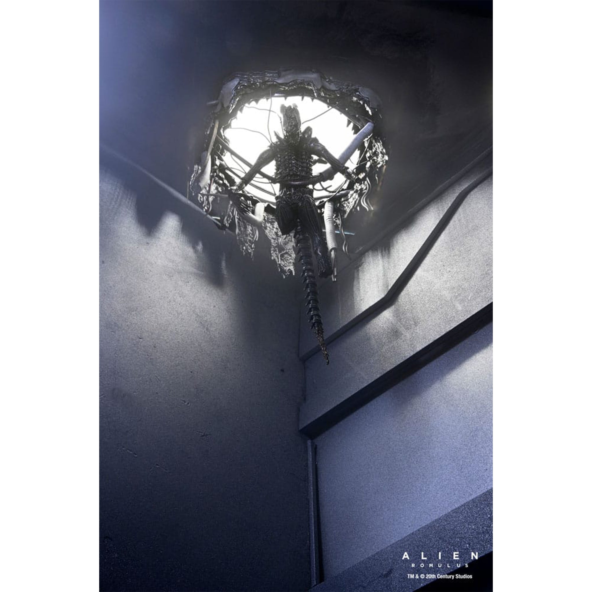 NECA Alien Romulus Deluxe Suspended Lab Xenomorph XX121 Action Figure 2025 18cm – Alien, NECA, 18 cm, 2025, brand new collector item, Uncanny Collectibles Dublin Ireland