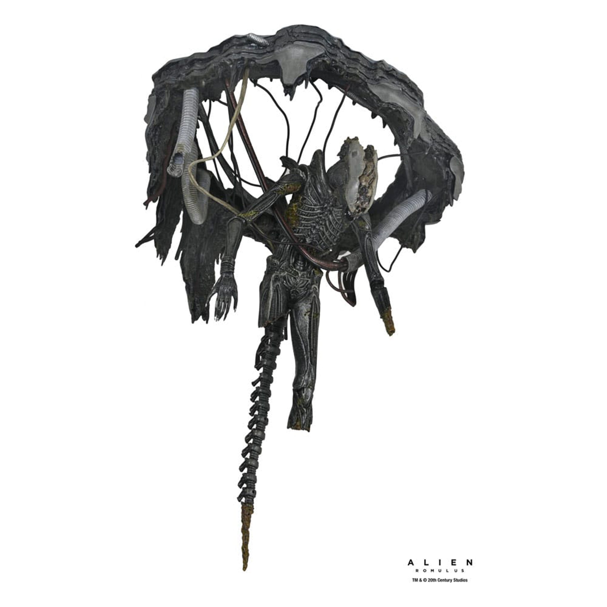 NECA Alien Romulus Deluxe Suspended Lab Xenomorph XX121 Action Figure 2025 18cm – Alien, NECA, 18 cm, 2025, brand new collector item, Uncanny Collectibles Dublin Ireland
