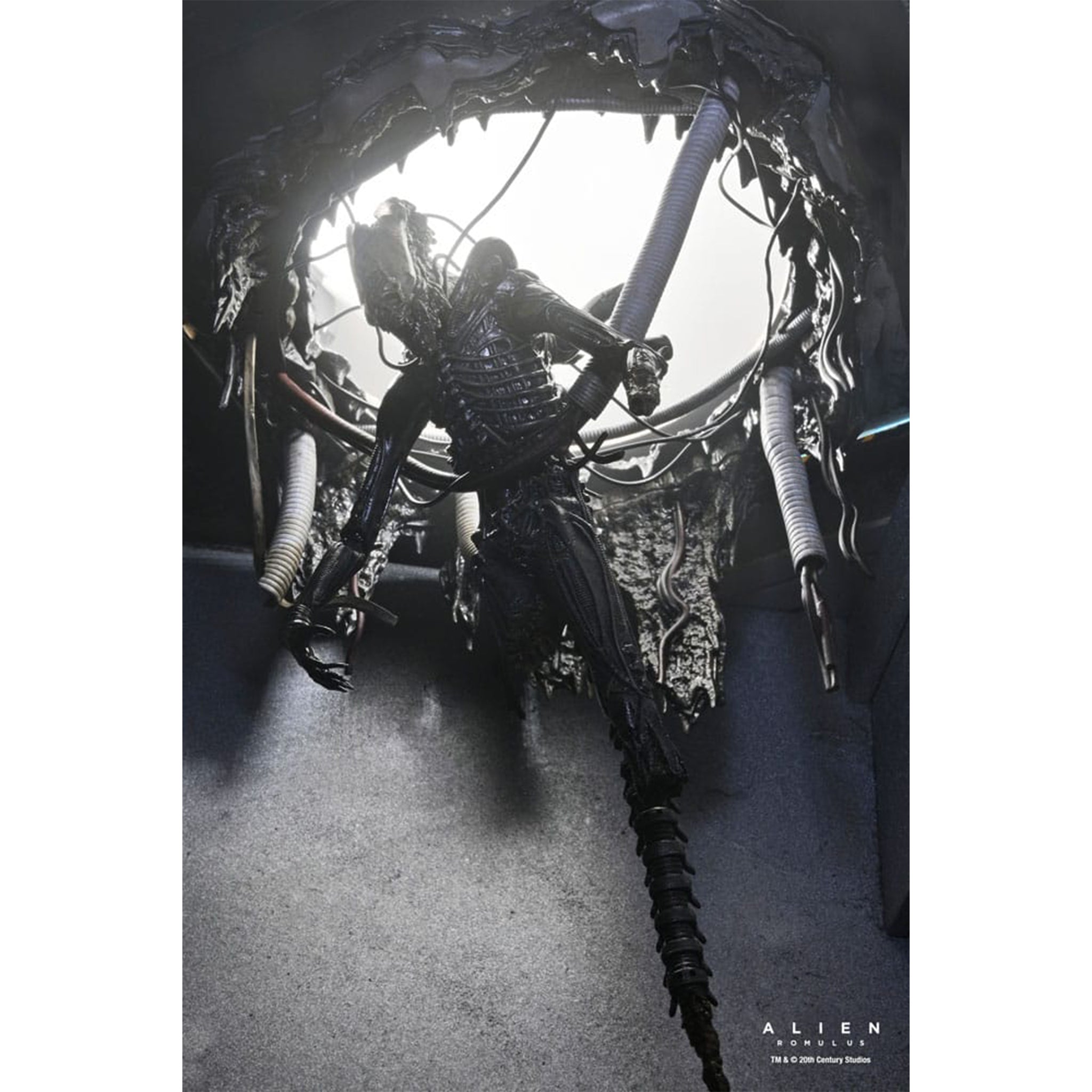 NECA Alien Romulus Deluxe Suspended Lab Xenomorph XX121 Action Figure 2025 18cm – Alien, NECA, 18 cm, 2025, brand new collector item, Uncanny Collectibles Dublin Ireland