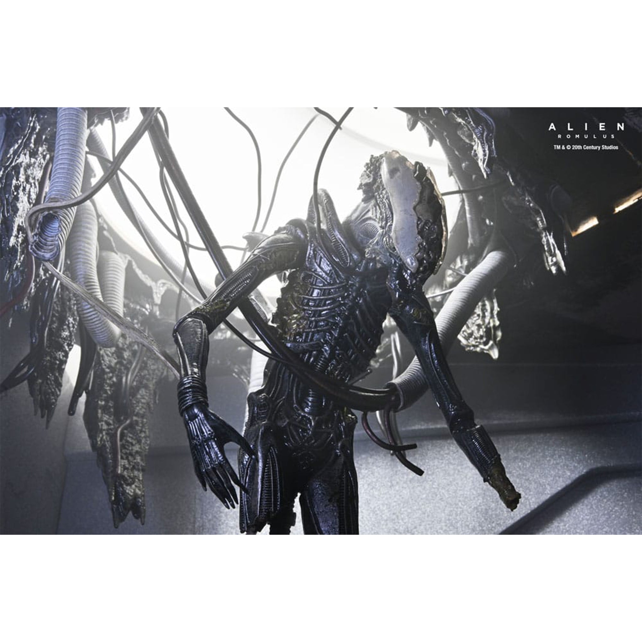 NECA Alien Romulus Deluxe Suspended Lab Xenomorph XX121 Action Figure 2025 18cm – Alien, NECA, 18 cm, 2025, brand new collector item, Uncanny Collectibles Dublin Ireland