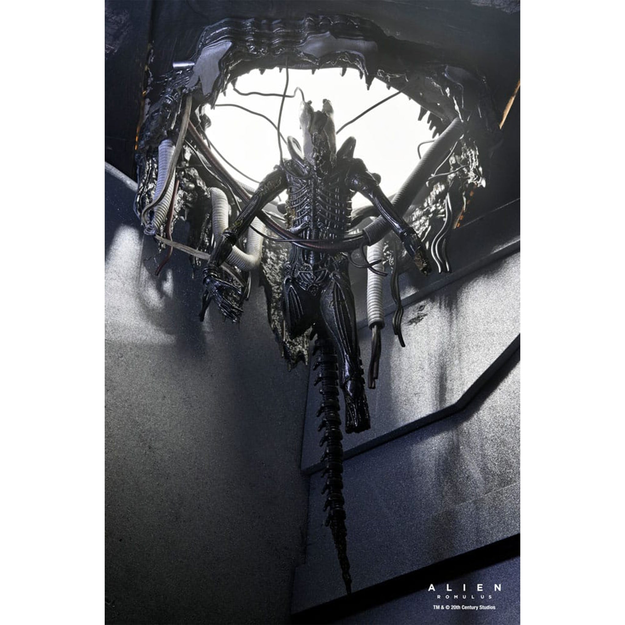 NECA Alien Romulus Deluxe Suspended Lab Xenomorph XX121 Action Figure 2025 18cm – Alien, NECA, 18 cm, 2025, brand new collector item, Uncanny Collectibles Dublin Ireland