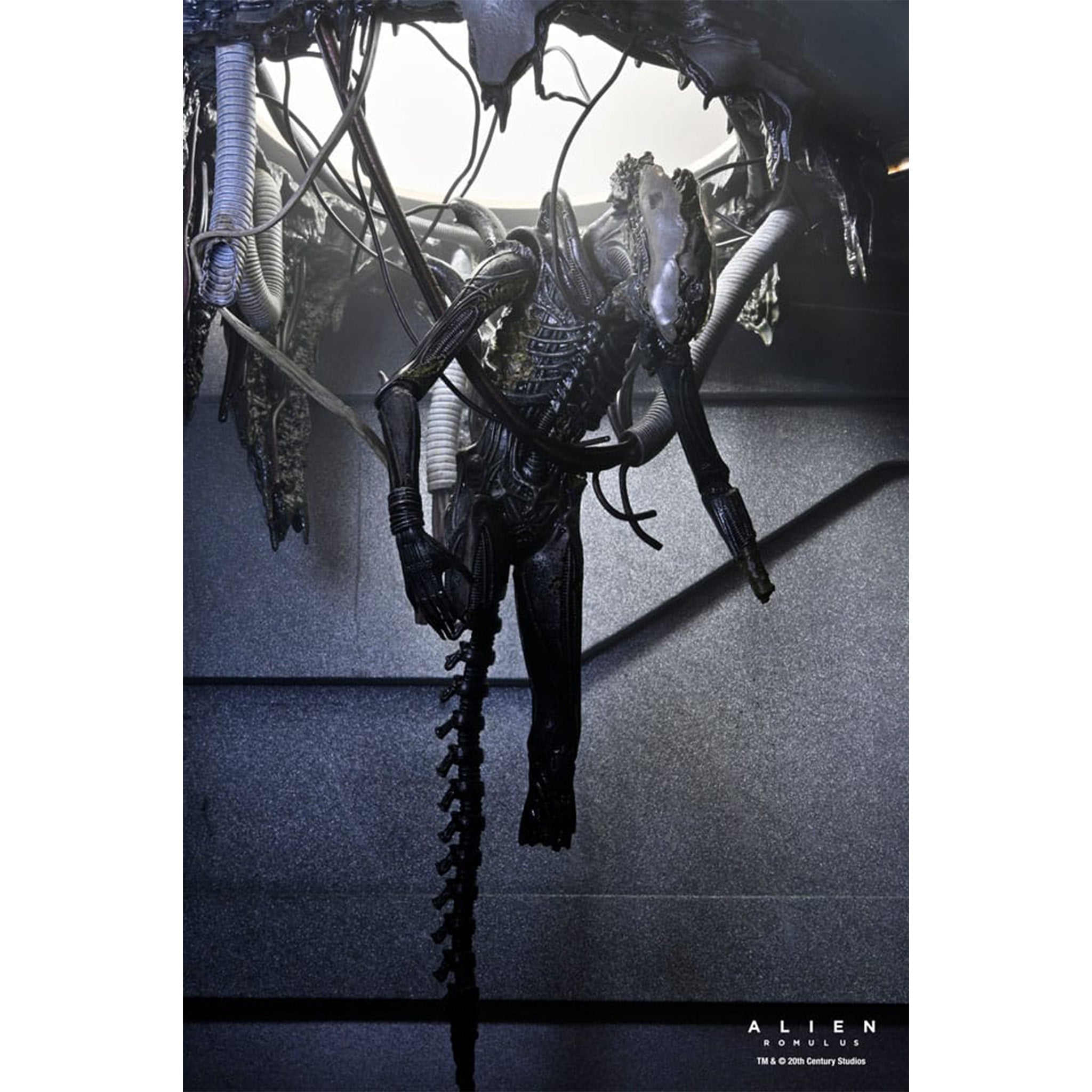 NECA Alien Romulus Deluxe Suspended Lab Xenomorph XX121 Action Figure 2025 18cm – Alien, NECA, 18 cm, 2025, brand new collector item, Uncanny Collectibles Dublin Ireland