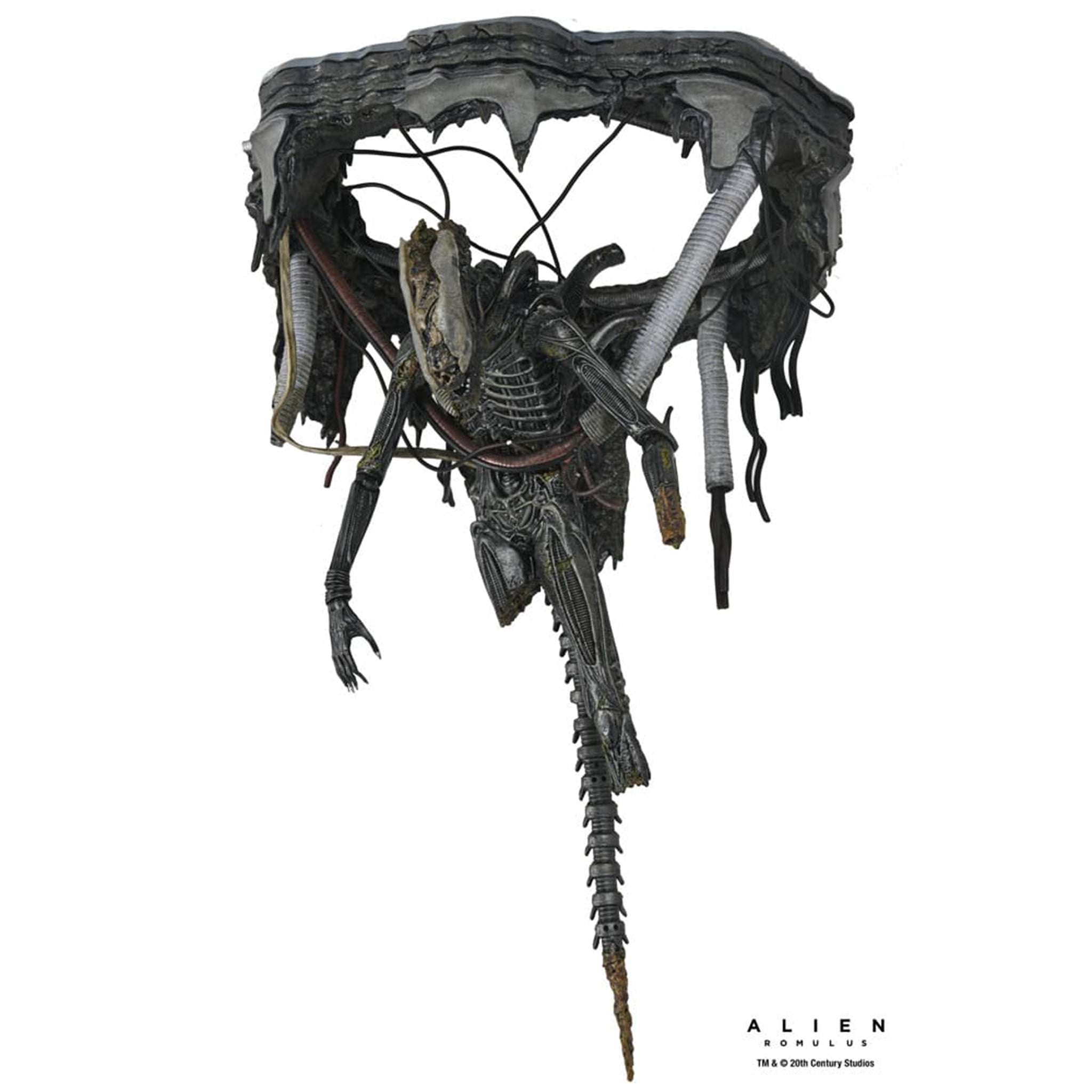 NECA Alien Romulus Deluxe Suspended Lab Xenomorph XX121 Action Figure 2025 18cm – Alien, NECA, 18 cm, 2025, brand new collector item, Uncanny Collectibles Dublin Ireland